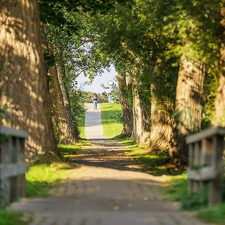 Sandwelle 5 Sterne Mit Boddenblick * Wustrow (Fischland)